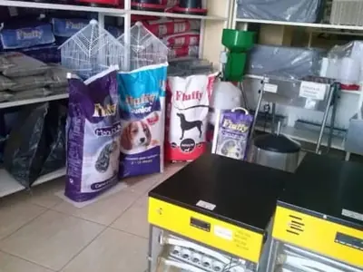 Sacas de ração para cães e gatos numa loja de animais