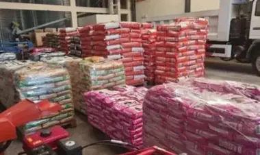 Sacas de sal, milho e xerém empacotados prontos para distribuição